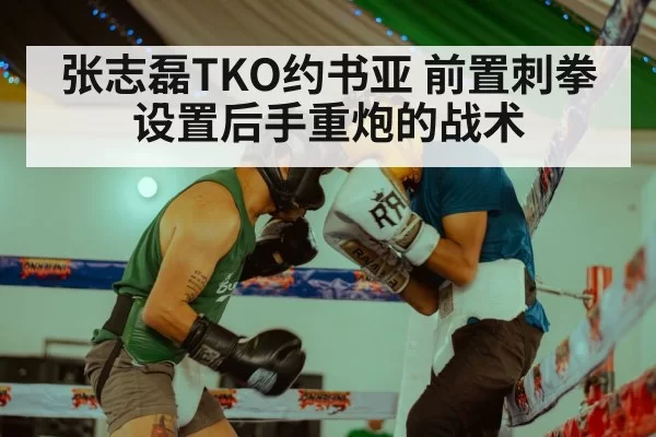 张志磊TKO约书亚 前置刺拳设置后手重炮的战术